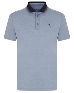 Поло Ambassador Chervo