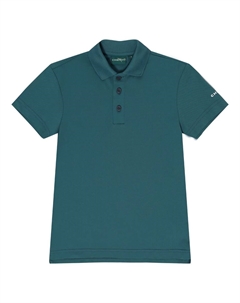 Поло однотонное Chervo