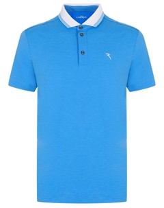 Поло Ambassador Chervo