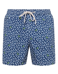 Шорты плавательные Mc2 saint barth