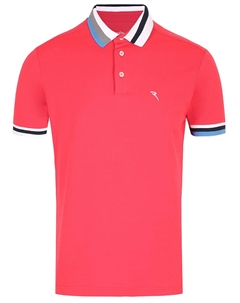 Поло Allarme Chervo