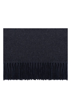 Шарф из кашемира и шерсти Cesare gatti