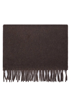 Шарф кашемировый Cesare gatti