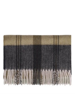 Шарф кашемировый Cesare gatti