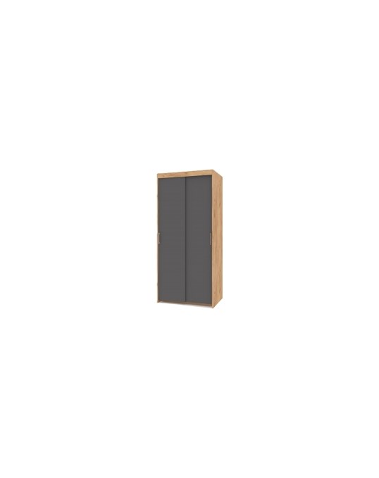 Шкаф-купе Томас Т21 Modern - 1