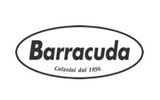 Распродажа barracuda